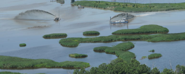 Sandy Recovery: Delaware Marsh Restoration at Hook National Wildlife Refuge